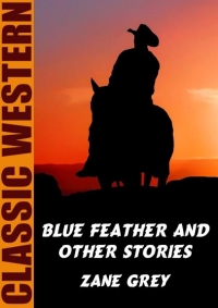 Imagen de portada: Blue Feather and Other Stories 9781479453900