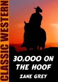 Cover image: 30,000 On the Hoof 9781479454204