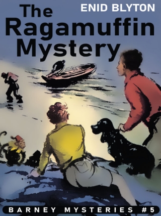 Cover image: The Rubadub Mystery 9781479454792