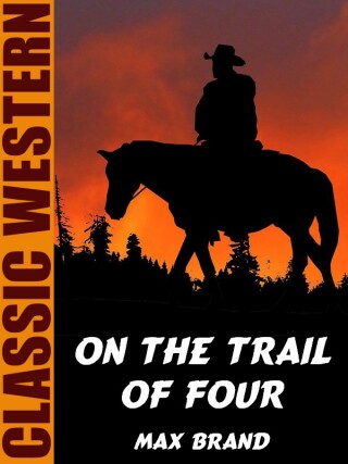 Cover image: On the Trail of Four 9781479456390