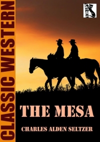 Cover image: The Mesa 9781479457199