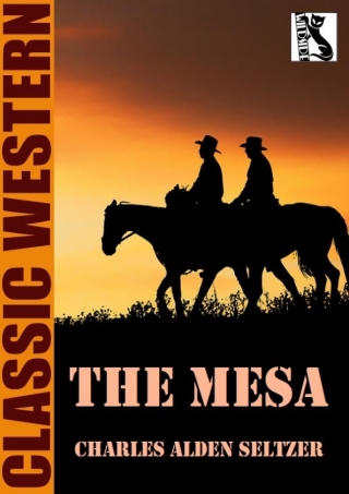 Cover image: The Mesa 9781479457199