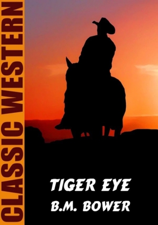 Imagen de portada: Tiger Eye 9781479457663