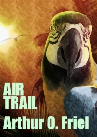 Cover image: Air Trail 9781479458295