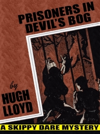 Cover image: Prisoners In Devil’s Bog 9781479458592