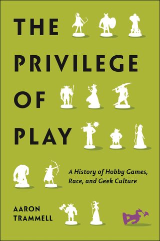 Imagen de portada: The Privilege of Play 9781479818402