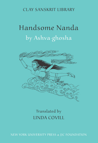 Cover image: Handsome Nanda 9780814716830