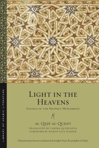 Cover image: Light in the Heavens 9781479864485