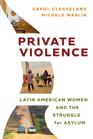 Cover image: Private Violence 9781479824335