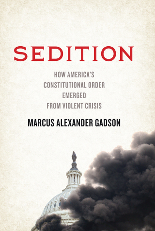 Cover image: Sedition 9781479828883