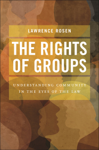 Imagen de portada: The Rights of Groups 9781479830411