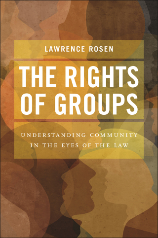 Cover image: The Rights of Groups 9781479830411