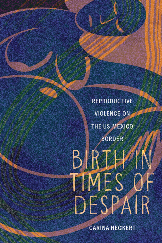 Imagen de portada: Birth in Times of Despair 9781479832071