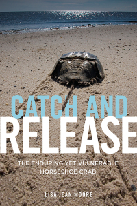 Cover image: Catch and Release 9781479848478