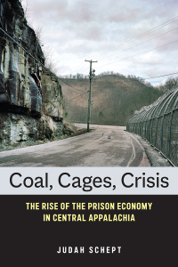 Omslagafbeelding: Coal, Cages, Crisis 9781479858972