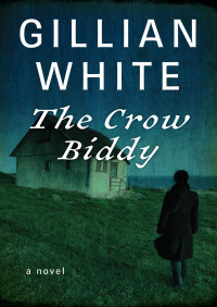 Imagen de portada: The Crow Biddy 9781480402140