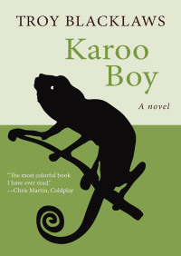 Immagine di copertina: Karoo Boy 9781480417823