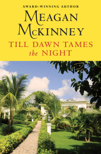 Cover image: Till Dawn Tames the Night 9781480416505