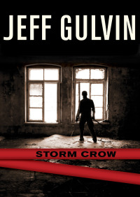 Cover image: Storm Crow 9781480418356