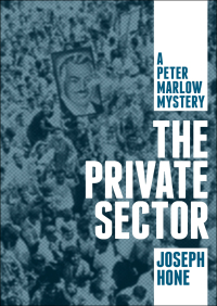 Cover image: The Private Sector 9781480418721