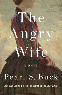 Cover image: The Angry Wife 9781480421141