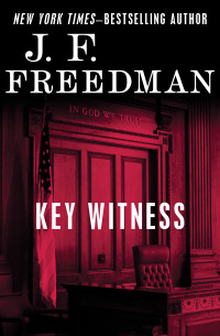 Immagine di copertina: Key Witness 9781480423961