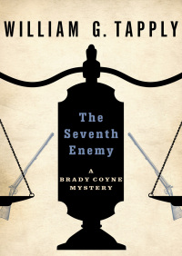 Imagen de portada: The Seventh Enemy 9781480427310