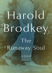 Cover image: The Runaway Soul 9781480427990