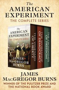 Omslagafbeelding: The American Experiment 9781480430204