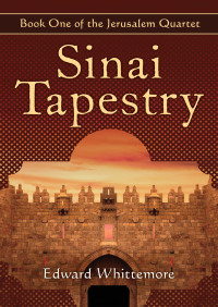 表紙画像: Sinai Tapestry 9781480433892