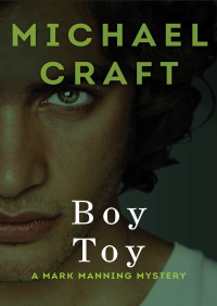 Cover image: Boy Toy 9781480433946