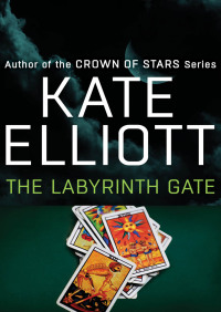 Cover image: The Labyrinth Gate 9781480435261