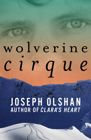 Cover image: Wolverine Cirque 9781480437265