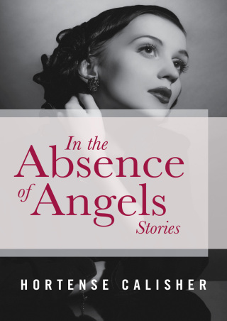 Imagen de portada: In the Absence of Angels 9781480438910