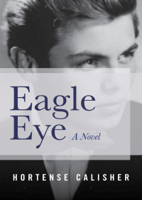 Omslagafbeelding: Eagle Eye 9781480438972