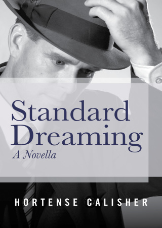 Omslagafbeelding: Standard Dreaming 9781480438965