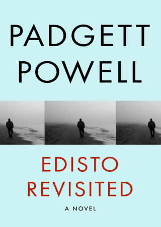 Cover image: Edisto Revisited 9781480464155