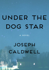 Cover image: Under the Dog Star 9781480444027