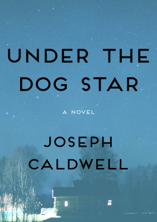 Immagine di copertina: Under the Dog Star 9781480444027