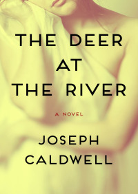 Imagen de portada: The Deer at the River 9781480443983