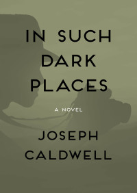 Cover image: In Such Dark Places 9781480444010