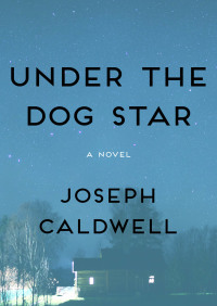 Titelbild: Under the Dog Star 9781480444027