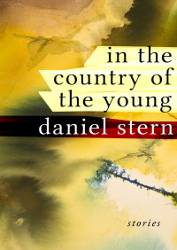 Imagen de portada: In the Country of the Young 9781480444140