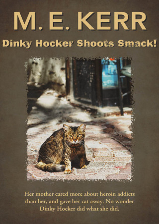 Cover image: Dinky Hocker Shoots Smack! 9781497641983