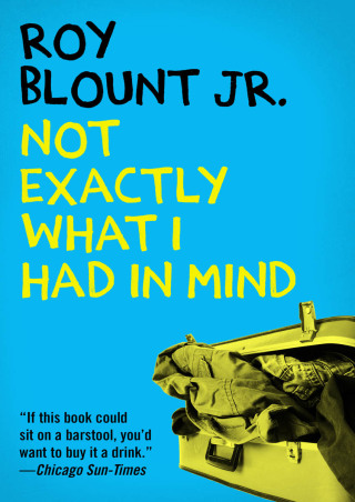 Cover image: Not Exactly What I Had in Mind 9781480457744