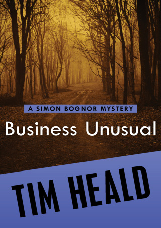 Imagen de portada: Business Unusual 9781480463127