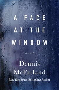 Cover image: A Face at the Window 9781480465053