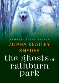 Imagen de portada: The Ghosts of Rathburn Park 9781480471528