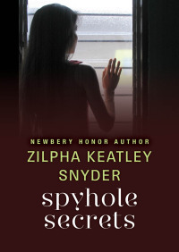 Cover image: Spyhole Secrets 9781480471566