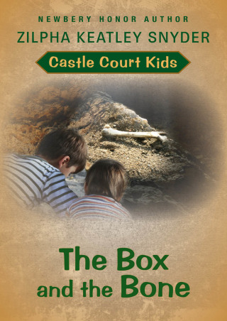 Cover image: The Box and the Bone 9781480471603